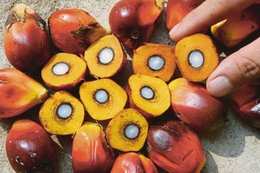 Group Astra 'Menjerit', Keuntungan Ratusan Miliar Terpangkas Gara-gara Ini...