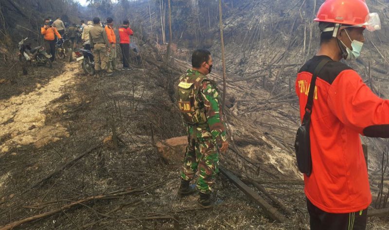 Satgas Karhutla Riau Turunkan Bom Air 50 Kali di Hutan Bukit Suligi