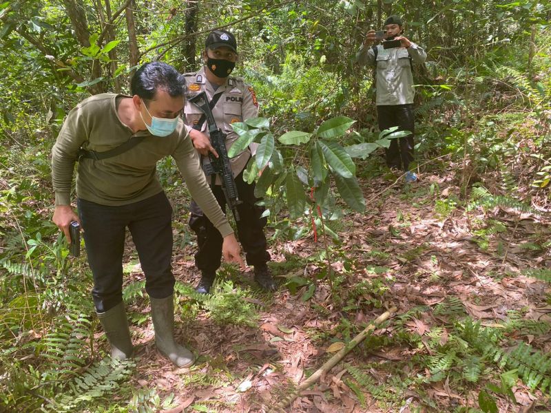 Sempat Hilang, Kepala Remaja Siak yang Diduga Dimangsa Harimau Ditemukan