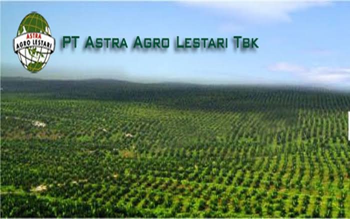 PT AAL Buka Lowongan Kerja untuk Lulusan S1 Nih!