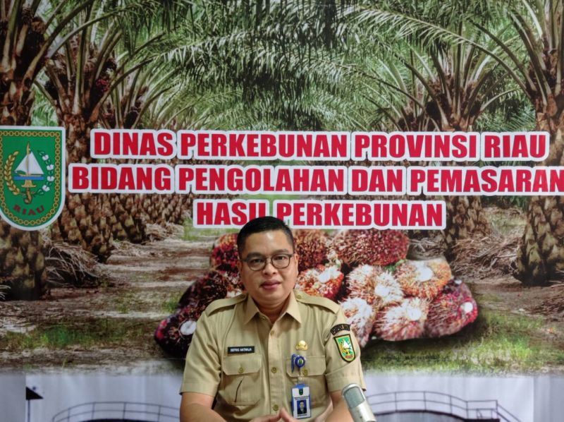 Tak Seperti Sawit, Harga Karet di Riau Malah Turun