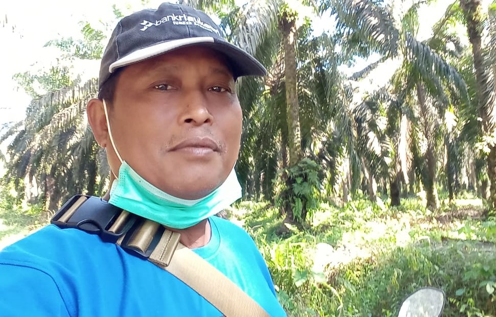 Petani Mitra 'Anak' Sinar Mas: Kami Tak Perpanjang Lagi RSPO