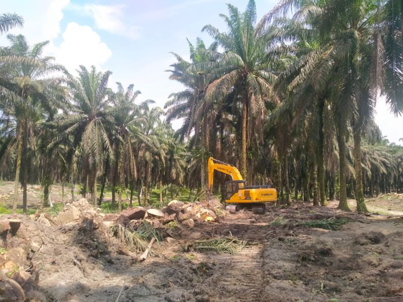 Kelimpungan Karena Pupuk Mahal, Peserta PSR Berharap Dapat ini