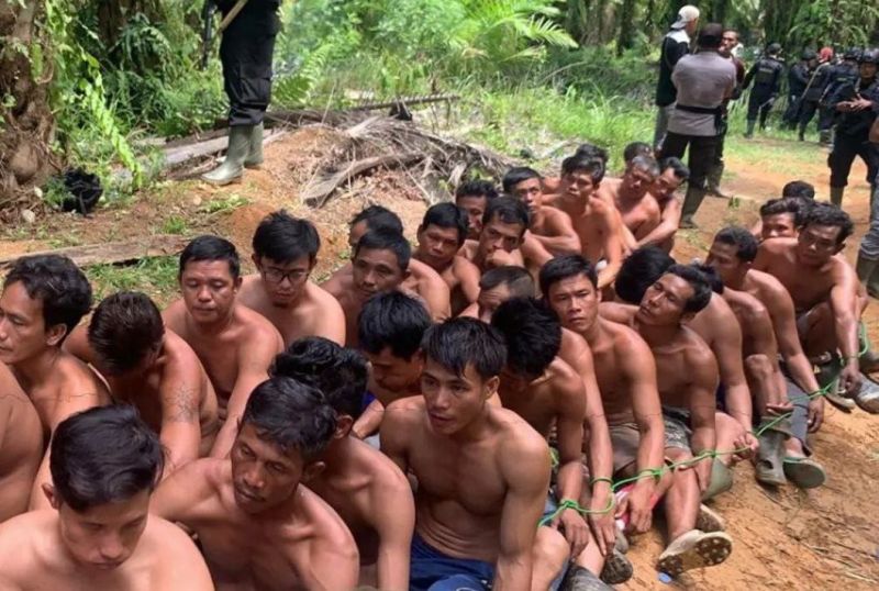 Menilik Peluang Keadilan Untuk 40 Tersangka Pencuri Sawit di Mukomuko