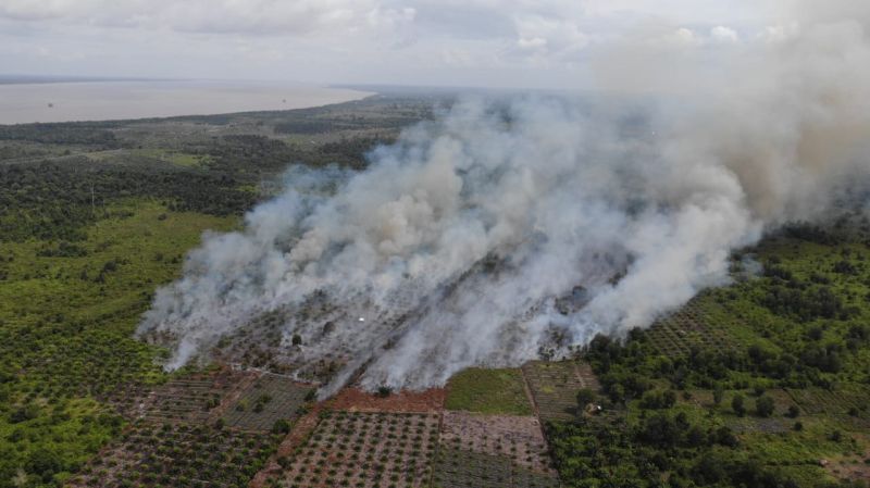 Antisipasi Karhutla, Petani Bagan Limau Ajukan Pembuatan Embung ke KLHK