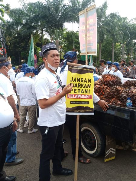 Soal Harga TBS, Kemarahan Petani Hanya Menunggu Meledak?