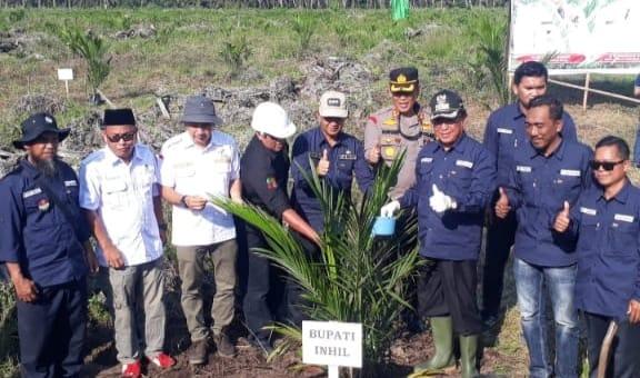 Dapat Hibah PSR, Puluhan Hektar Kebun Swadaya Ditanam Perdana