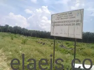 PBS Diingatkan Harus Penuhi Kewajiban Bangun Plasma