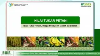 Daya Beli Petani Sawit dan Kemiri Jadi yang Tertinggi di Daerah ini