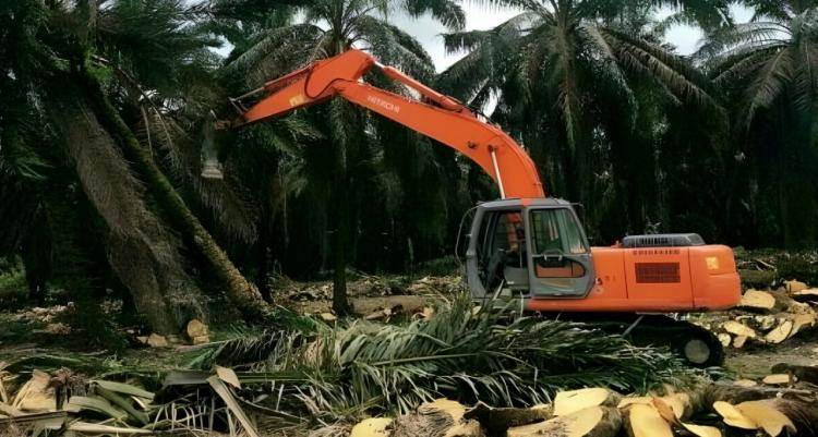 Genjot Realisasi PSR, Pemerintah Disarankan Lakukan ini