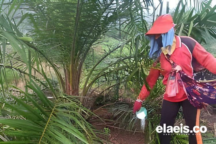 Petani Minta Polisi Tindak Tegas Pembuat Pupuk Palsu