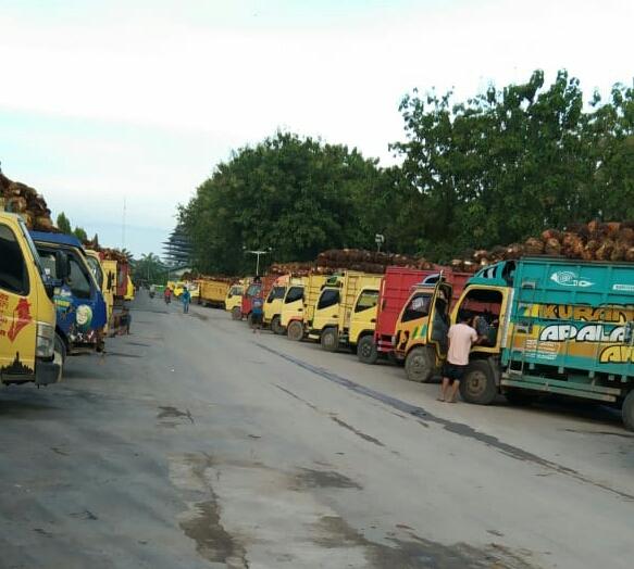 Aturan Zero ODOL Bisa Picu Mogok Angkutan Sawit