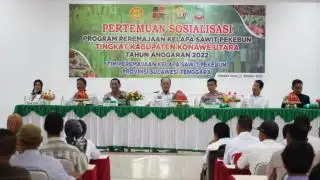 Daerah ini Mau Jadikan Sawit Sebagai Penggerak Utama Perekonomian