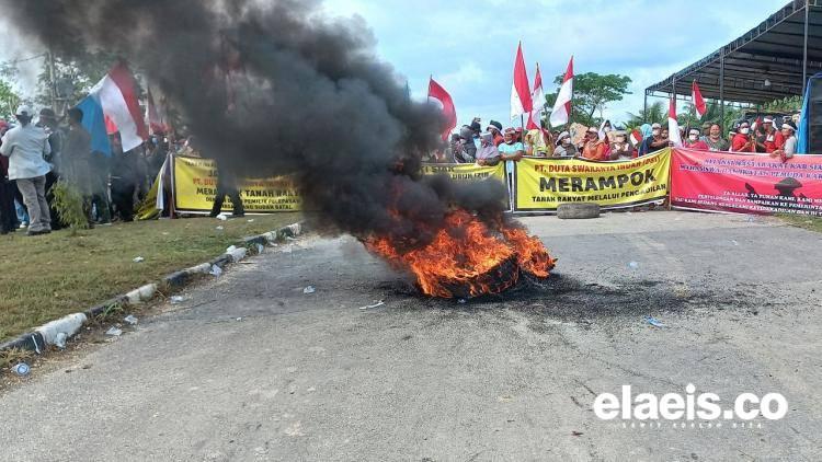 Penghulu Kampung Dayun Ikut Komentari Eksekusi Lahan Kebun Sawit, Jangan-jangan...