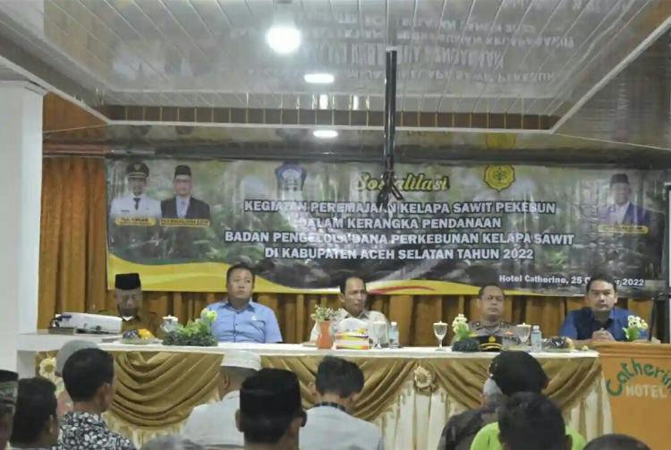 Pekebun Aceh Selatan Diminta Manfaatkan Program PSR