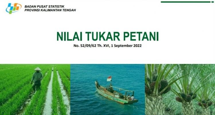 NTP di 23 Provinsi Naik, Perkebunan Rakyat Jadi Pendorong Utama