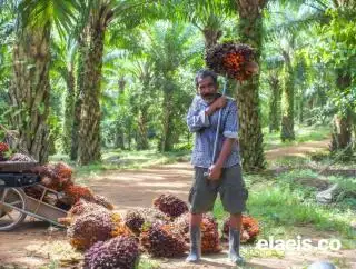 Warga +62 Harus Tahu, BBM Campuran Sawit 40% Sudah Mau Beres Loo...