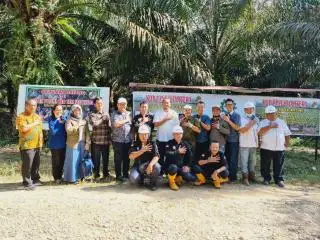 PTPN V Jadi Role Model Peremajaan Sawit Rakyat di Aceh