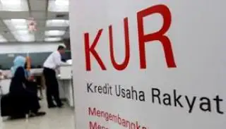 Rp 2,4 Triliun Dana KUR Diserap Oleh Petani Kelapa Sawit