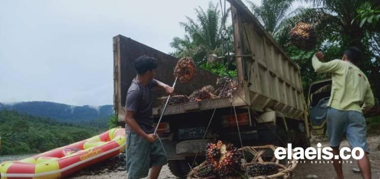 Nasib Riau: Kontribusinya Besar, Dapatnya Sedikit
