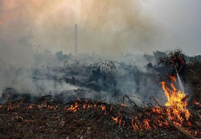 Antipasi Karhutla di Kemarau Panjang 2023, DLK Riau Minta Kesiapsiagaan Sejumlah Pihak