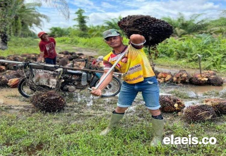 SPKS Minta Hasil Audit BPKP Dibuka ke Publik