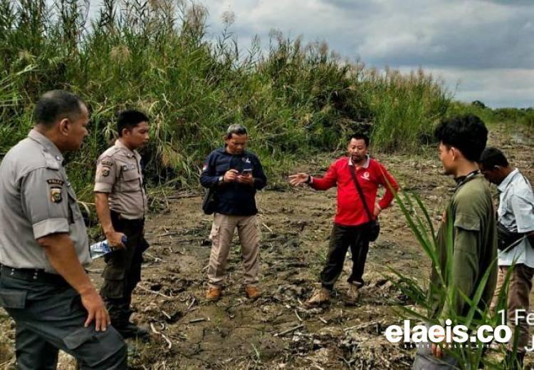 Warga Rohil Terkejut Lihat Harimau Muncul di Dekat Perkebunan Sawit