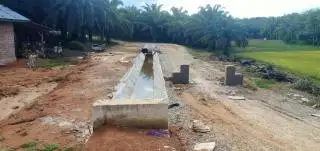 PUPR Bantah Areal Persawahan Berubah Jadi Kebun Sawit Karena Irigasi
