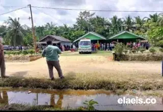 Kelapa Sawit Umur 25 Tahun Rentan Kecelakaan Kerja Jika Tidak Direplanting