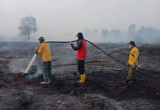 Mudahkan Koordinasi, 10 Kabupaten/Kota di Riau Diminta Tetapkan Siaga Darurat Karhutla