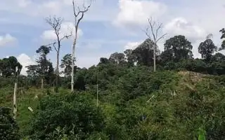 Hentikan Menyalahkan Rakyat