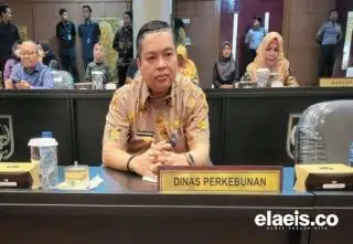 Tertinggi se-Indonesia, Harga TBS Sawit di Riau Tembus Rp2.865/Kg