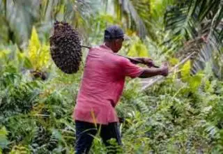 Nilai Tukar Petani Riau Februari 2023 Naik 1,72 Persen