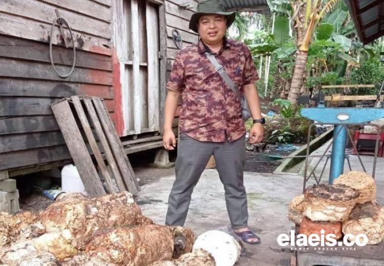 Harga Komoditas Selain Sawit di Riau Naik