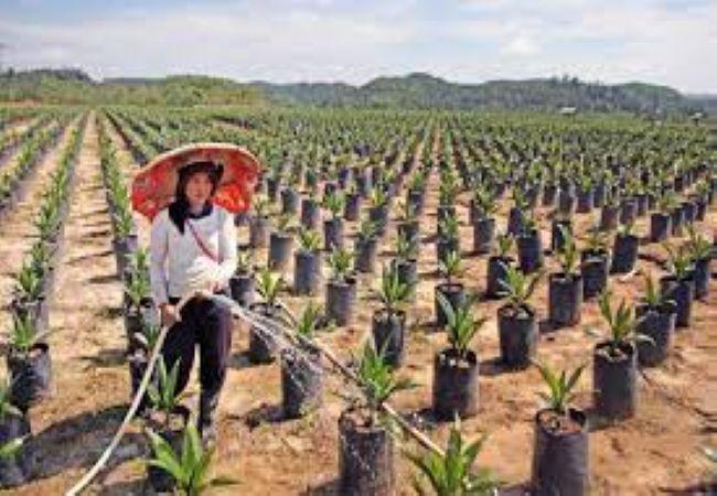 Targetkan Percepatan PSR, Ini Langkah yang Harus Diambil Pemerintah