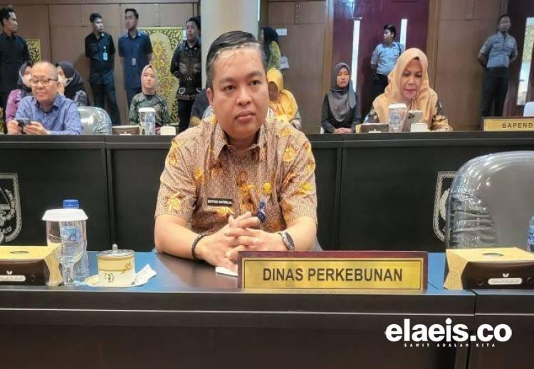 Naik Lagi, Harga TBS di Riau Tembus Rp2.889/Kg