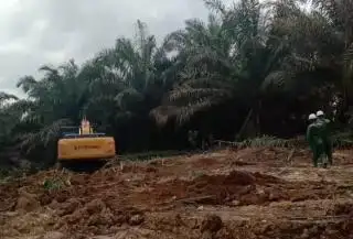 Usaha Sawit Pailit, Lahan Korporasi ini Jadi Tambang Batu Bara
