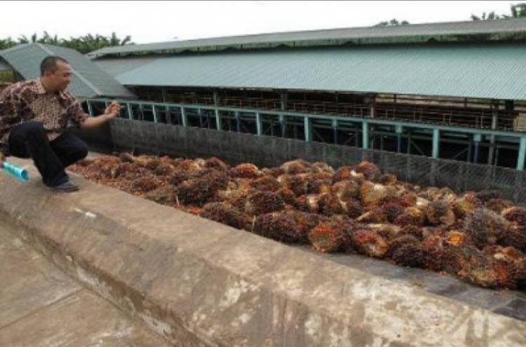 Serapan Tenaga Kerja di Kaltim Lampaui Target RPJMD