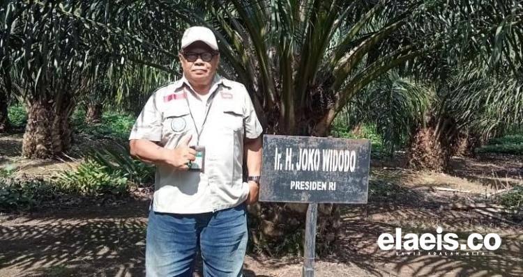 Petani Desa Sungai Keruh Ancam Ambil Alih Kebun Lantaran Hasil Tidak Maksimal