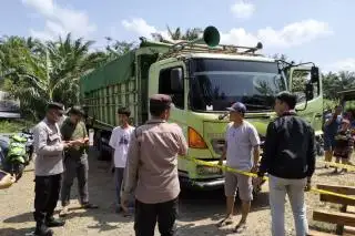 Sopir Ekspedisi Bermuatan Cangkang Sawit Meninggal Dunia di Lintas Seluma