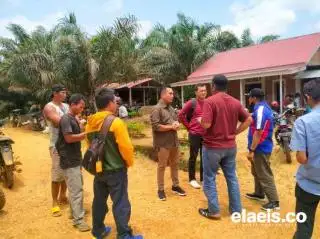 Petani Sawit Kembali Hadang Aktivitas PT BBSI di Lokasi Berbeda