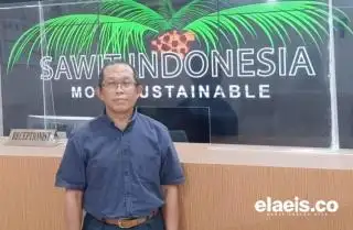 Sekitar 1.000 Hektar Kebun Kelapa Sawit di Paser Diajukan untuk Sertifikasi RSPO