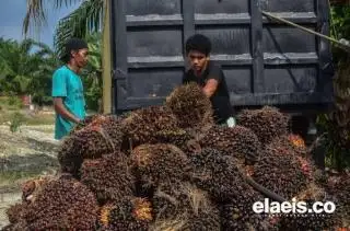 THR Tidak Dibayarkan, Silahkan Lapor ke Posko Pengaduan Pemkab Inhu