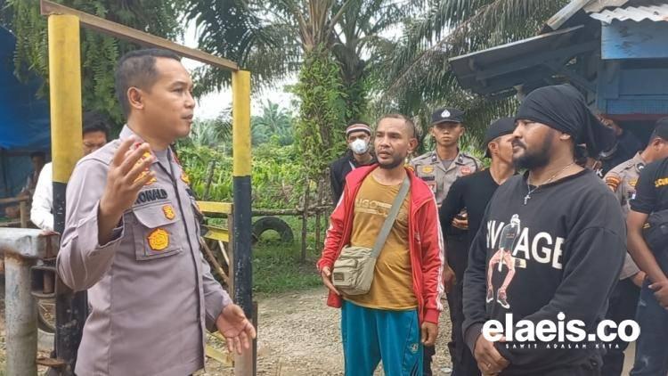Untung Ada Ronald!