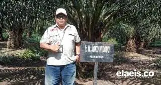 Dana Tak Kunjung Cair, Gapoktan di Jambi Masih Gigit Jari