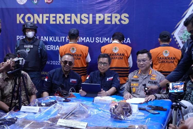 Mantan Bupati Ini Divonis 1,5 Tahun Penjara karena Menjual Kulit Harimau