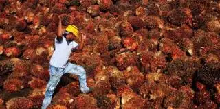 Gara-gara ini, Permintaan Minyak Sawit Dunia Lesu, Stok Ekspor Menumpuk. Petani Menjerit