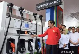 Bengkulu Butuh Pabrik Biosolar, Potensi Bahan Baku Melimpah