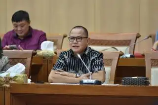 DPR: RI Pernah Menggugat UE dalam Soal Diskriminasi Sawit, kenapa Harus Takut Digugat?