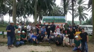 Ternyata, Sejarah Panjang Perkebunan Kelapa Sawit di Riau Dimulai di Daerah Ini